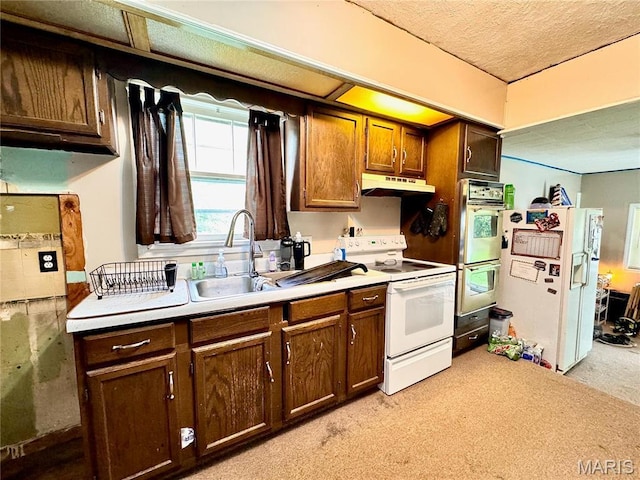 kitchen with white appliances, under cabinet range hood, a sink, light countertops, and light carpet