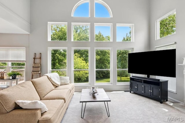 living room with a high ceiling and light carpet