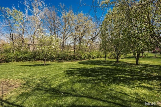 view of grassy yard