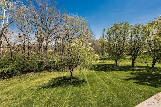 view of green lawn