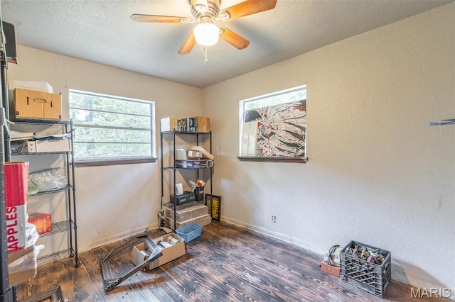 167 Ripley Co Rd Unit Y-3, Doniphan, MO 63935 - miscellaneous room with wood finished floors, ceiling fan, a textured ceiling, a textured wall, and baseboards