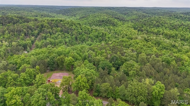 167 Ripley Co Rd Unit Y-3, Doniphan, MO 63935 - drone / aerial view of a forest