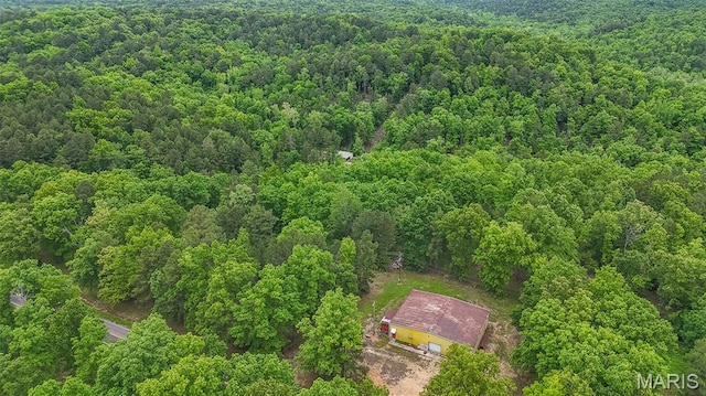 167 Ripley Co Rd Unit Y-3, Doniphan, MO 63935 - view of subject property featuring a forest