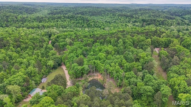 167 Ripley Co Rd Unit Y-3, Doniphan, MO 63935 - aerial view of property's location featuring a forest