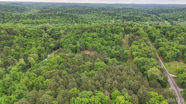 167 Ripley Co Rd Unit Y-3, Doniphan, MO 63935 - bird's eye view of a forest