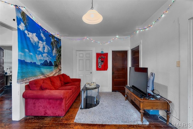 923 N Fountain St, Cape Girardeau, MO 63701 - living room featuring wood finished floors