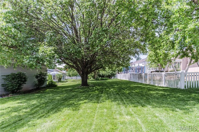 view of yard