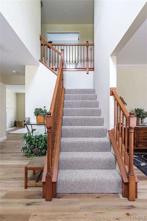 staircase featuring wood finished floors