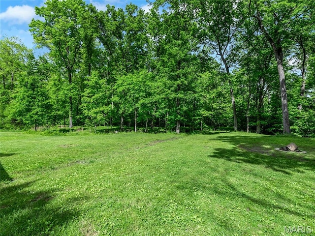 view of green lawn