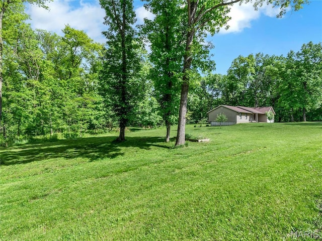 view of green lawn
