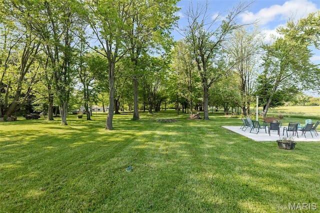 8110 Wolf Rd, Alton, IL 62002 - photo 7