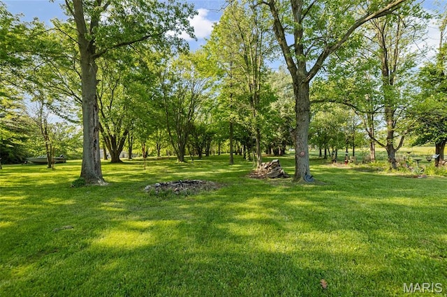 8110 Wolf Rd, Alton, IL 62002 - photo 9