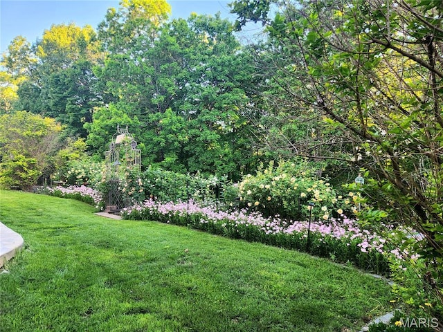 346 Palisades Ridge Ct, Eureka, MO 63025 - view of grassy yard