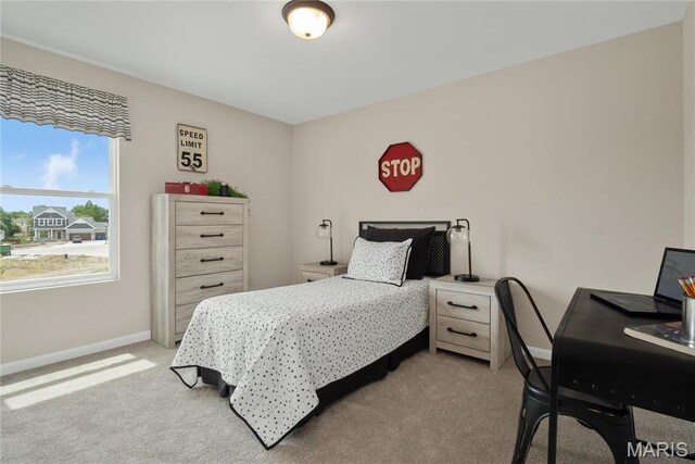 46 River Wind, Saint Charles, MO 63301 - photo 30