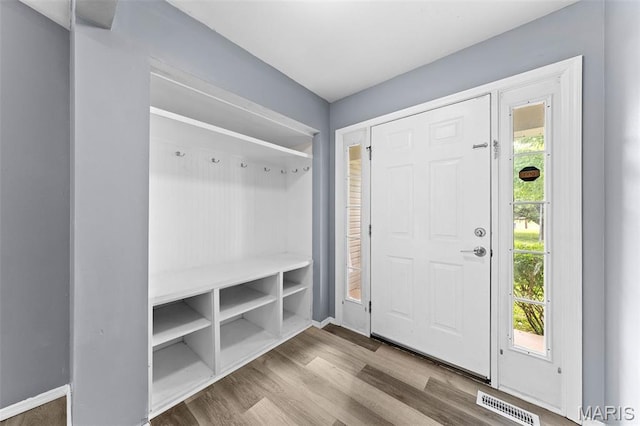 1102 Danielle Elizabeth Ct, Ofallon, MO 63366 - mudroom featuring wood finished floors and healthy amount of natural light