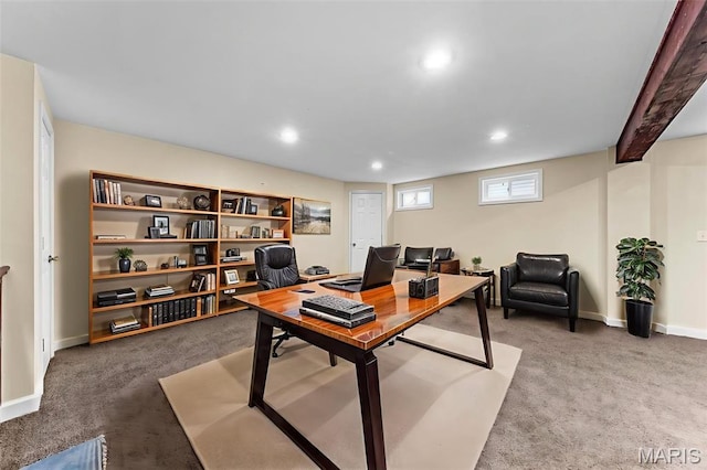 1102 Danielle Elizabeth Ct, Ofallon, MO 63366 - office with carpet and recessed lighting