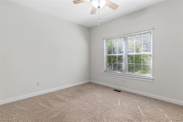 1209 Chestnut Ct, Farmington, MO 63640 - photo 35