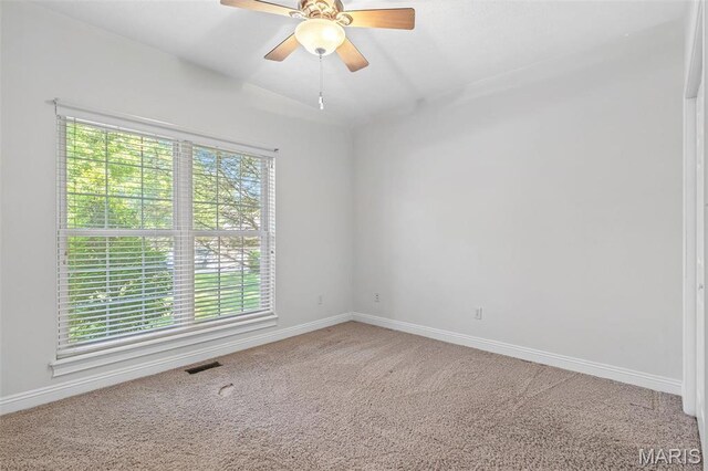 1209 Chestnut Ct, Farmington, MO 63640 - photo 37