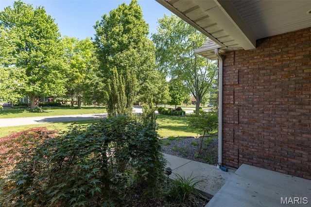 1209 Chestnut Ct, Farmington, MO 63640 - photo 54