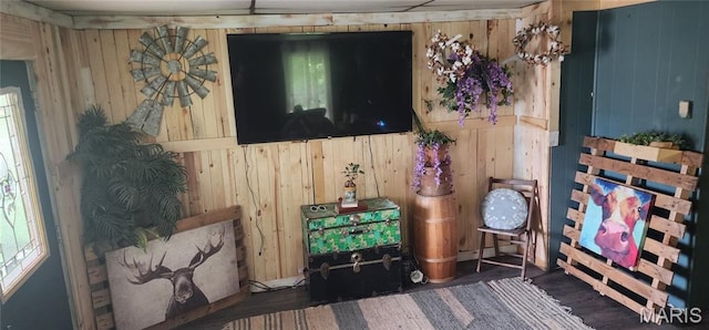 living area with wooden walls