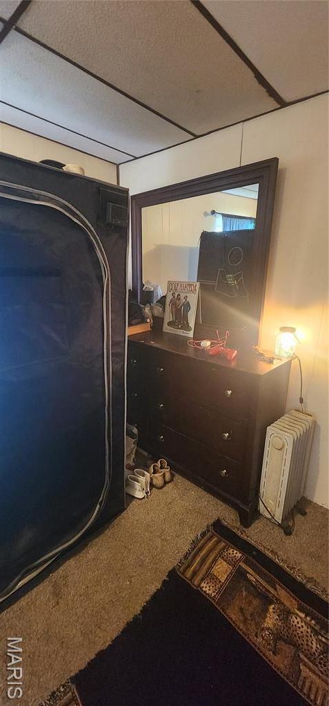 carpeted bedroom with radiator