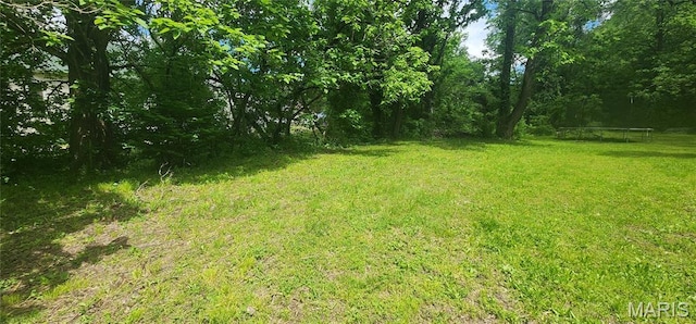 view of local wilderness