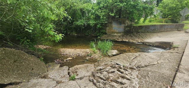 view of undeveloped land