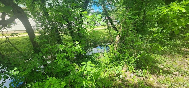 view of nature