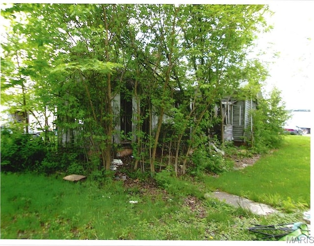 456 E 2595th Ave, Ramsey, IL 62080 - view of yard