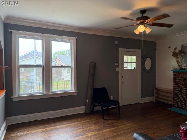 4317 Osceola St, Saint Louis, MO 63116 - photo 4