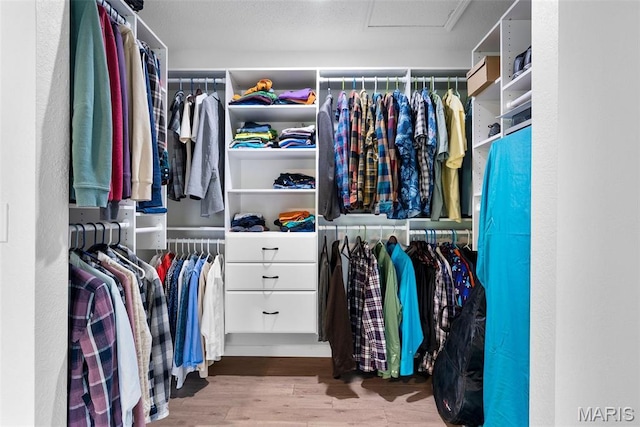 walk in closet with attic access and wood finished floors