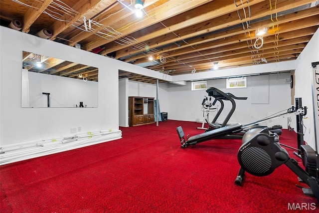 workout area with carpet flooring