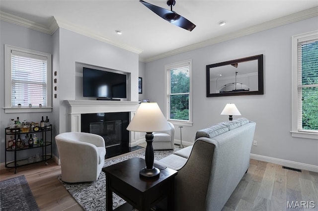 1606 Mississippi Ave, Saint Louis, MO 63104 - living room featuring wood finished floors, baseboards, a fireplace with flush hearth, and ornamental molding
