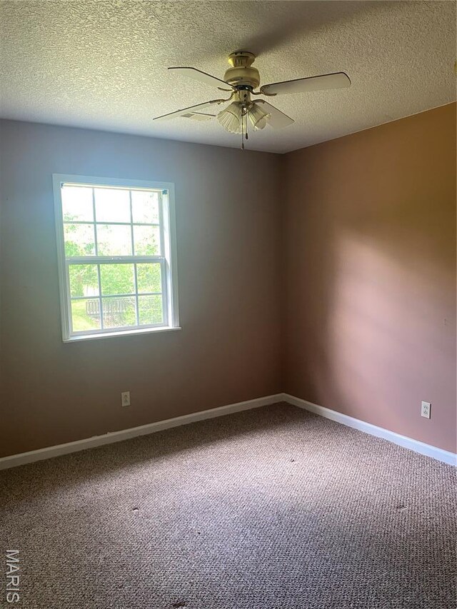 188 Rolla Ln, Williamsville, MO 63967 - photo 7