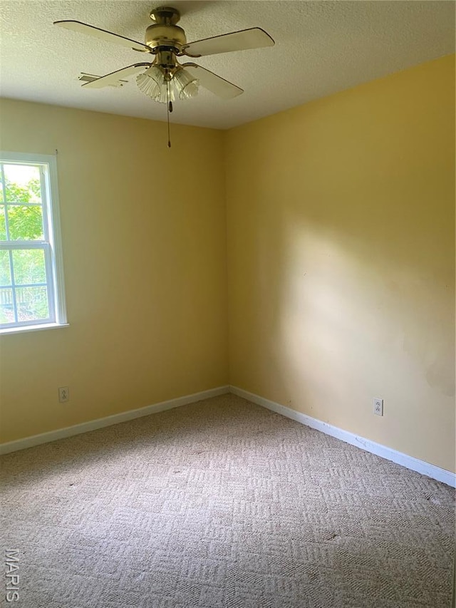 188 Rolla Ln, Williamsville, MO 63967 - photo 10