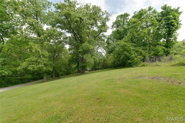 view of green lawn