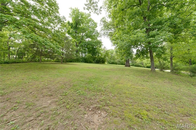 view of green lawn