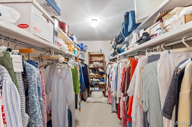 572 Coeur De Royale Dr Unit 105, Saint Louis, MO 63141 - spacious closet featuring carpet floors
