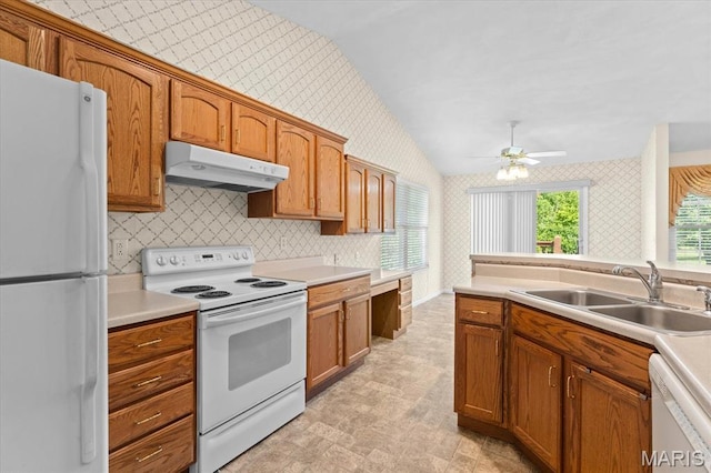 kitchen with white appliances, under cabinet range hood, wallpapered walls, a sink, and ceiling fan