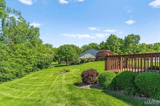view of green lawn