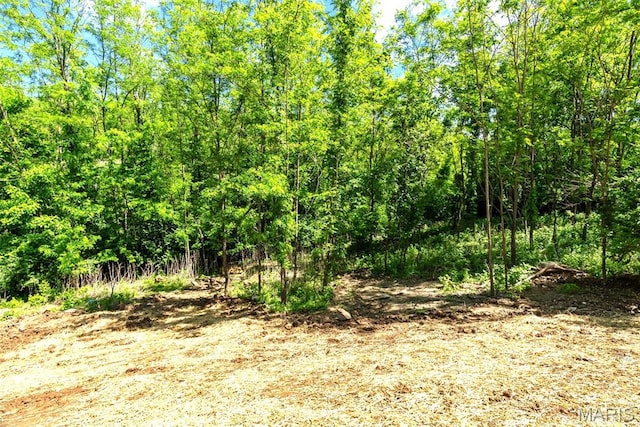 1909 Magnolia Way, Pevely, MO 63070 - view of local wilderness