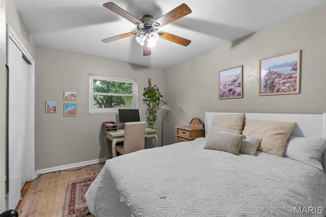804 Harvard St, Sikeston, MO 63801 - bedroom featuring light wood finished floors, baseboards, a ceiling fan, and a closet