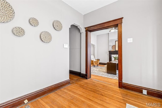 3546 Bamberger Ave, Saint Louis, MO 63116 - photo 5