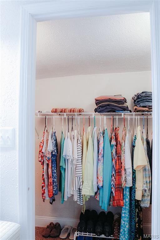 205 Watts St, Park Hills, MO 63601 - view of walk in closet