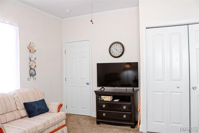 205 Watts St, Park Hills, MO 63601 - carpeted living room with ornamental molding
