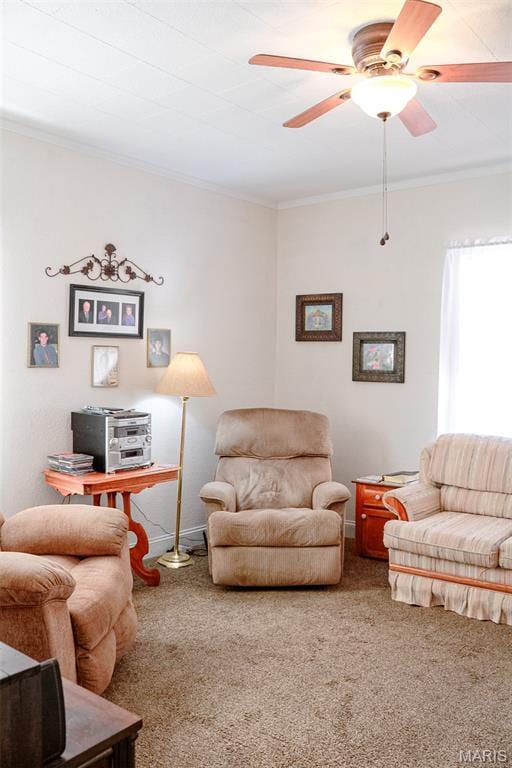 205 Watts St, Park Hills, MO 63601 - carpeted living area with ornamental molding and ceiling fan