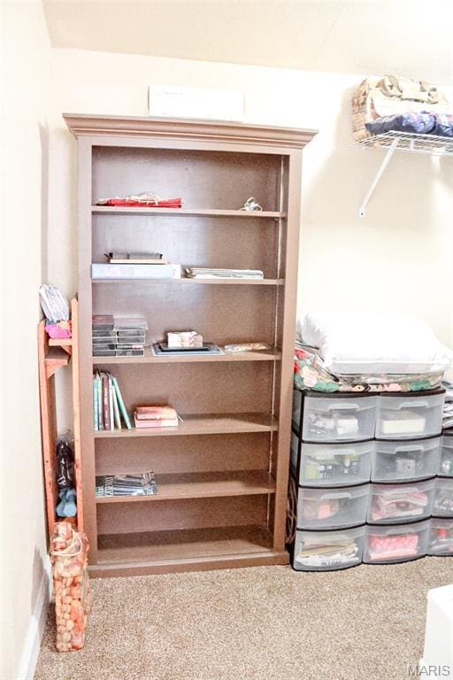 205 Watts St, Park Hills, MO 63601 - view of storage room
