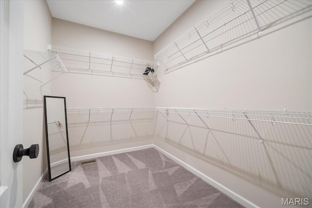 719 Myatt Dr, Wentzville, MO 63385 - spacious closet featuring carpet floors