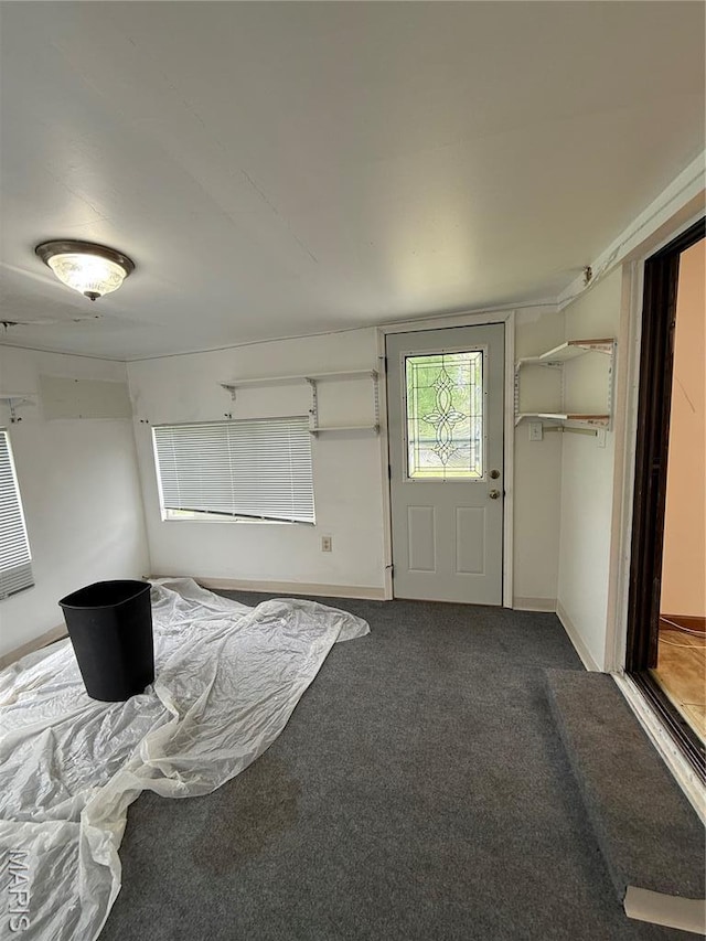 226 Dixie St, Sikeston, MO 63801 - carpeted entryway featuring baseboards