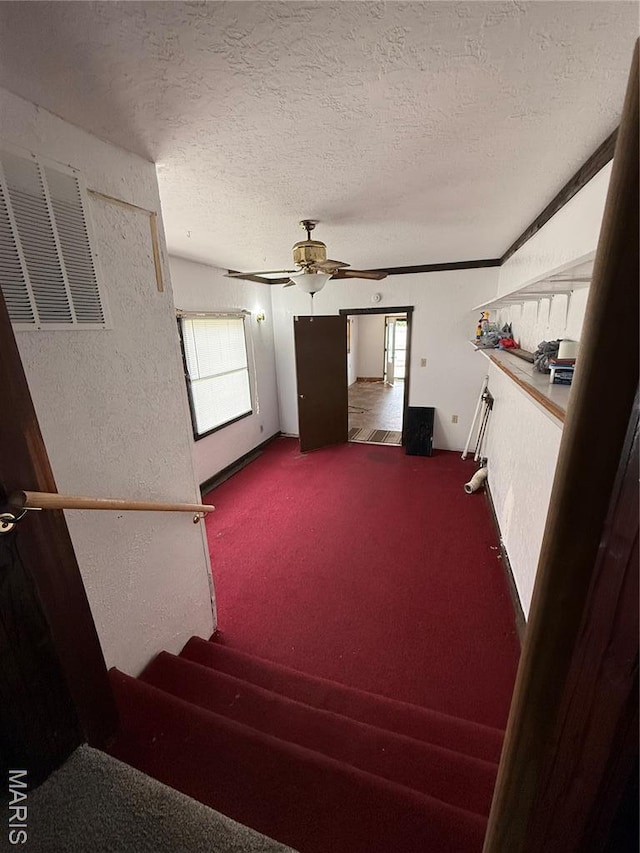 226 Dixie St, Sikeston, MO 63801 - stairway with healthy amount of natural light, ceiling fan, carpet, a textured ceiling, and a textured wall